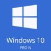 windows 10 Pro N